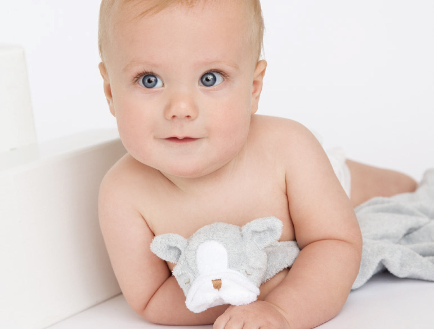 ANGEL DEAR Blankie Bulldog Grey ブランキー