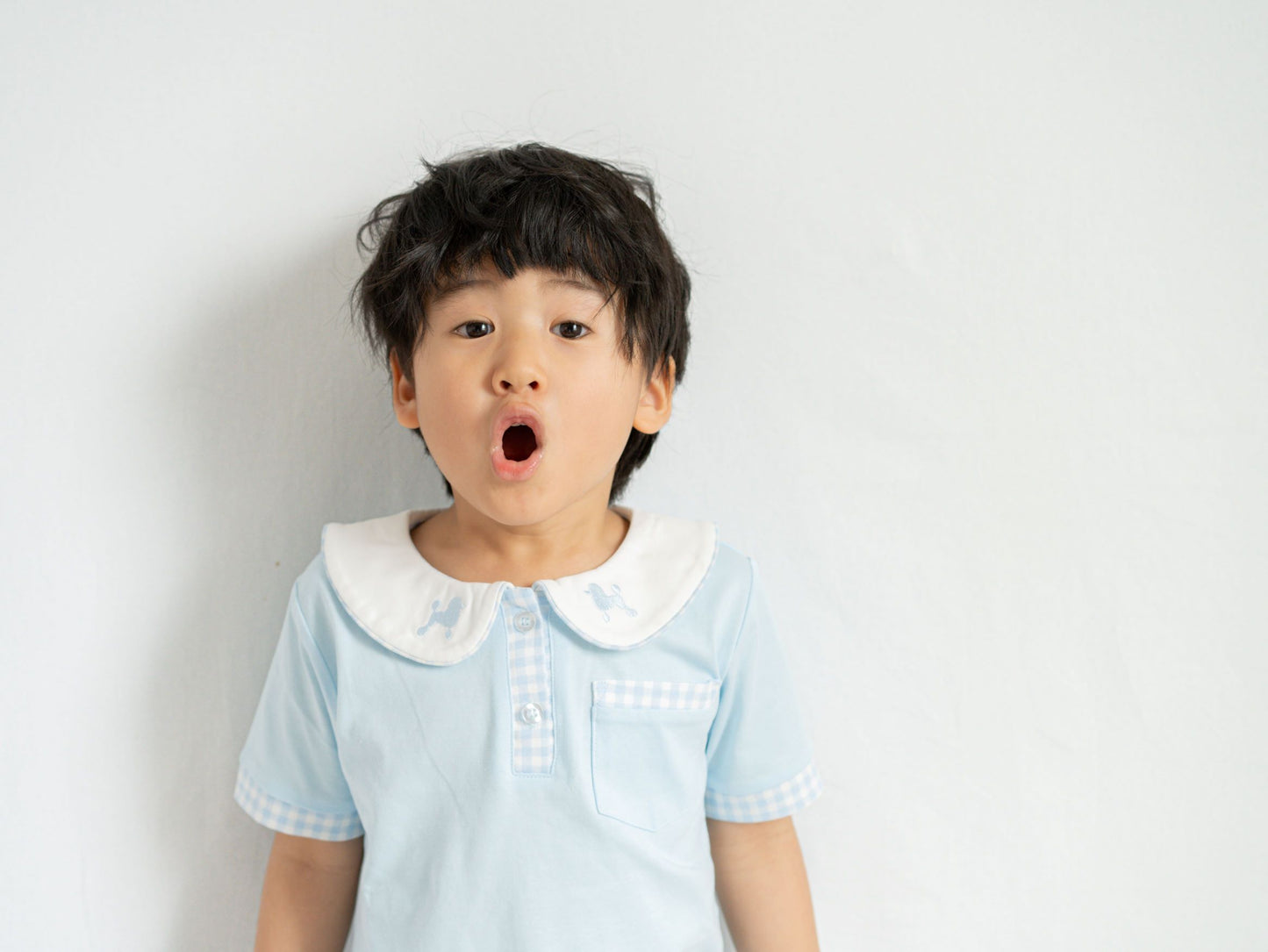 missy's original Poodle gingham check tops