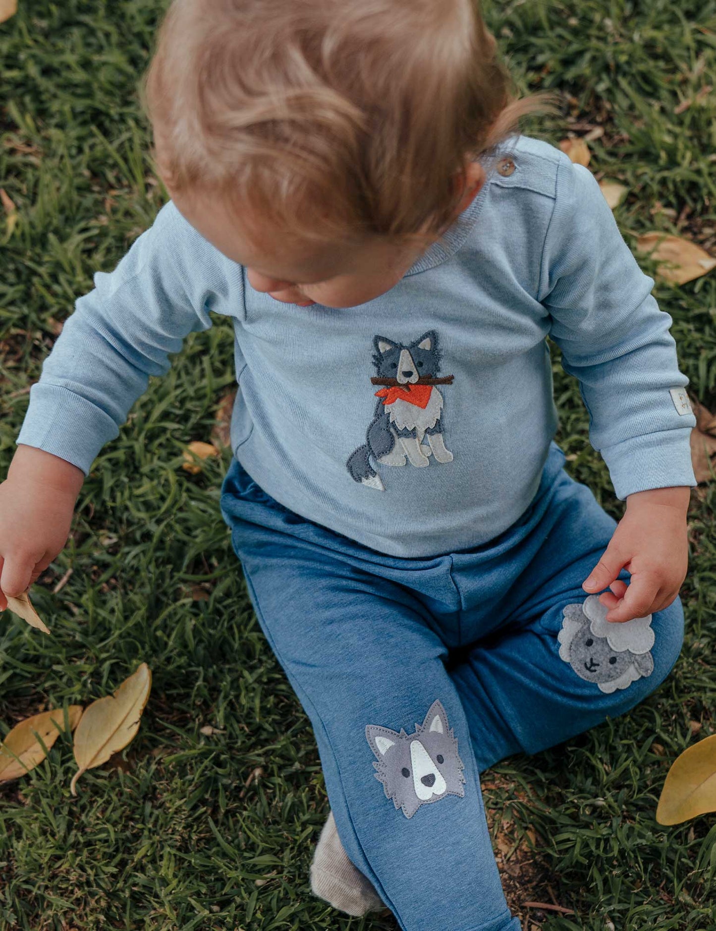 Purebaby ピュアベビー APPLIQUE BODYSUIT SHEEP DOG PN1001W25