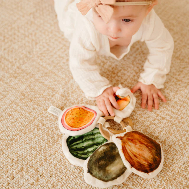 Little Lamb Kind TROPICAL FRUITS NUGGETS
