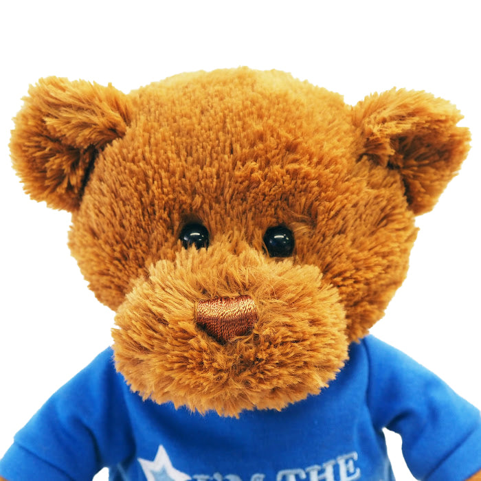 GUND　ガンド　ビッグブラザー Tシャツベア