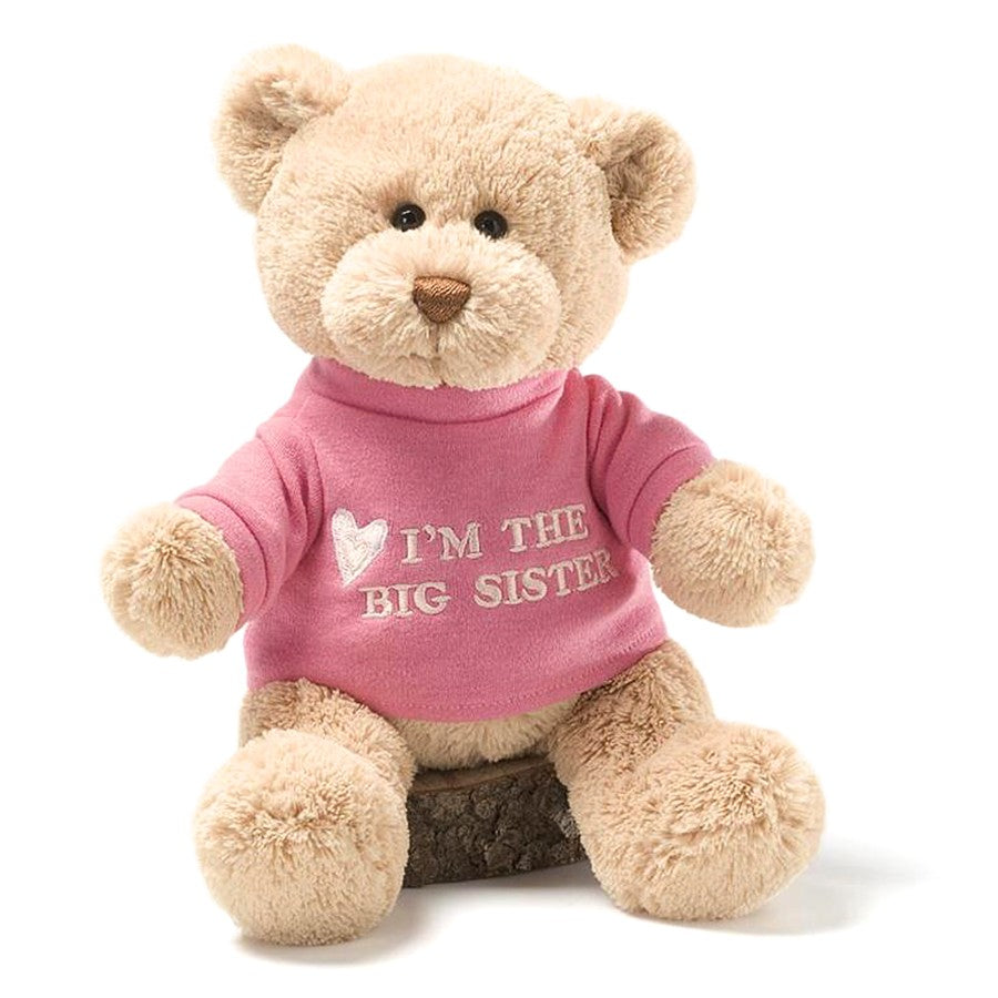 GUND　ガンド　ビッグ シスター Tシャツべア