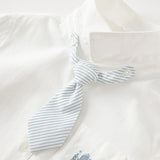 【予約】dave&bella デイブベラ　ライトブルストライプネクタイ付きシャツ　DB3236566